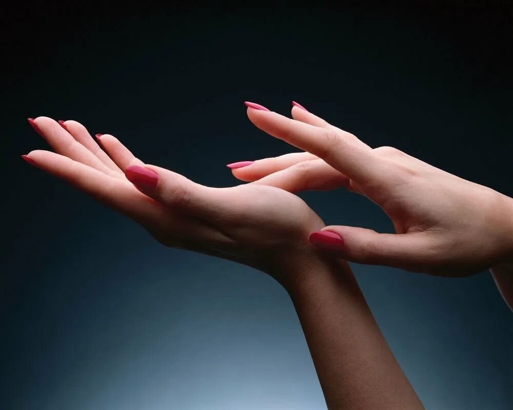 Женская рука. Красивые руки. Женская ладонь. Женская рука тянется. Красивые пальцы.