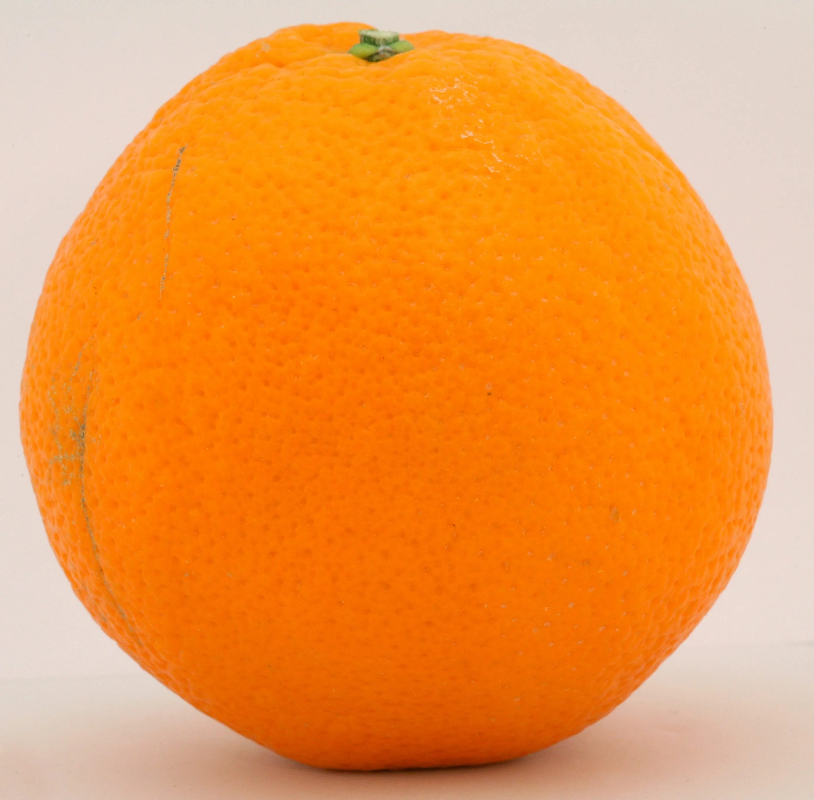 Апельсин. Большие апельсины. Апельсин один. Огромный апельсин.