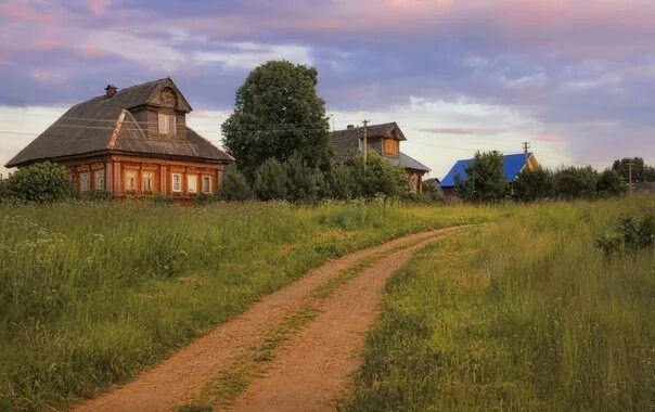 Большесельского муниципального района. Большесельский район Ярославль деревни. Деревня Шушкицы Большесельский район. Деревня Михеево Ярославская область. Д.Калитино Большесельский район Ярославская область.