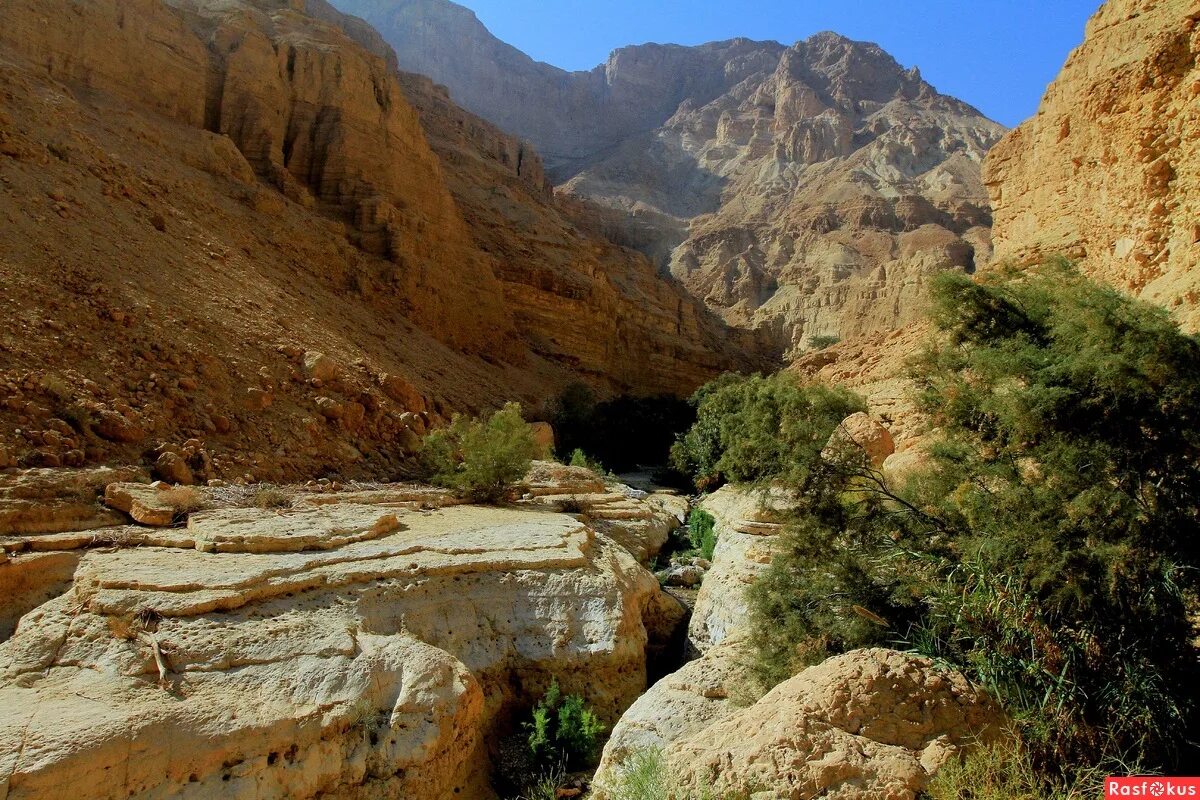 Еврей в горах. Центральные холмы израиль. Гора иудеев. Гора иудеев. Иудейские горы красивые фото.