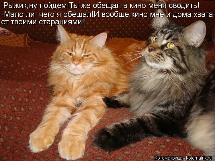 смысл слова имбецил. не игнорь меня. кто такой имбецил человек. мемы про подвал. пойти в поход.