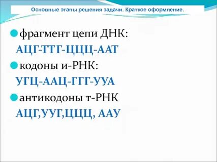Фрагмент цепи ирнк имеет последовательность цуацааггцуау