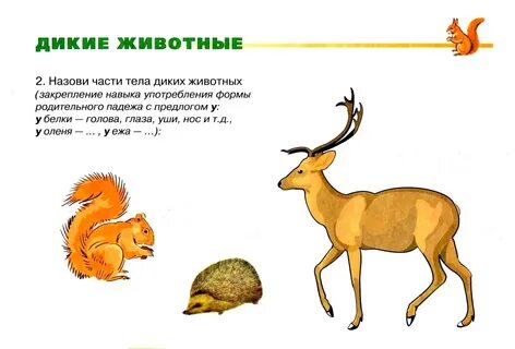 Развитие речи средняя группа дикие животные весной