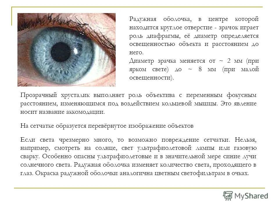 Стандартные размеры линз контактных. Оптическая система глаза физика схема. Расширение зрачков причины. Изменение размера зрачка. Изменение размера зрачка.