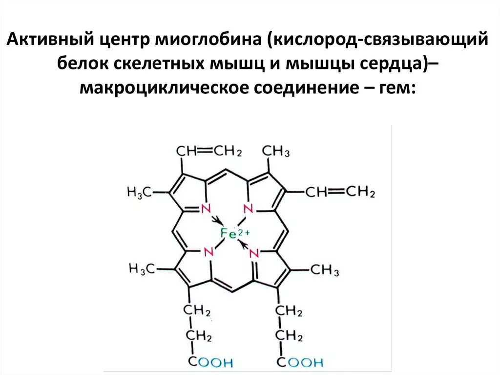 Строение миоглобина биохимия формула. Молекула миоглобина строение. Функции миоглобина биохимия. Структура миоглобина биохимия.