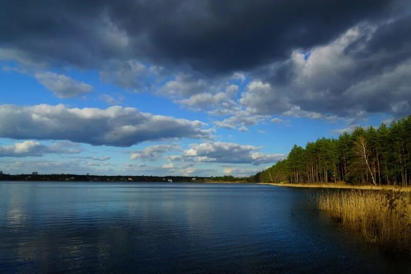 Мещера клепики. Озеро белое клепиковский район. белое озеро клепики рязань. озеро белое рязанская область клепиковский. рязань озеро белое клепиковский район.