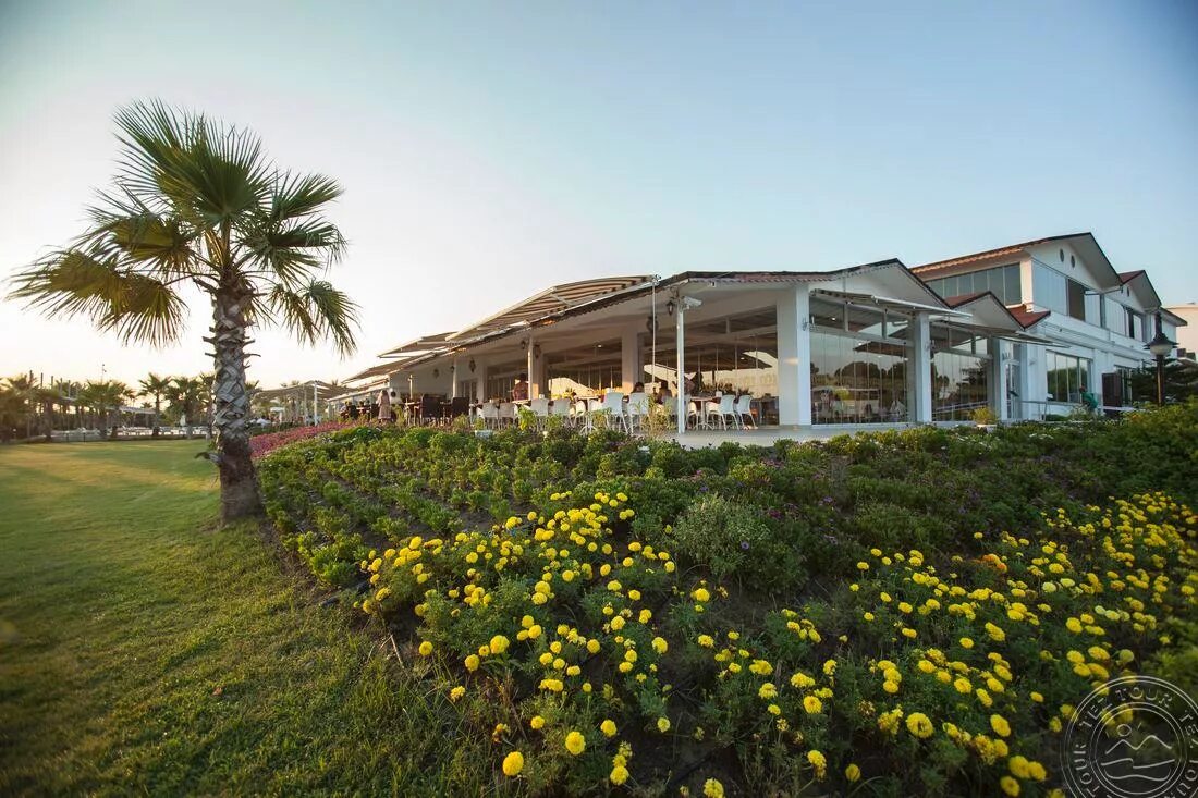 Belek soho beach club 5*, турция, белек центр. Турция белек армас белек отель. Soho club belek. Армас белек отель турция. Отель сохо белек.