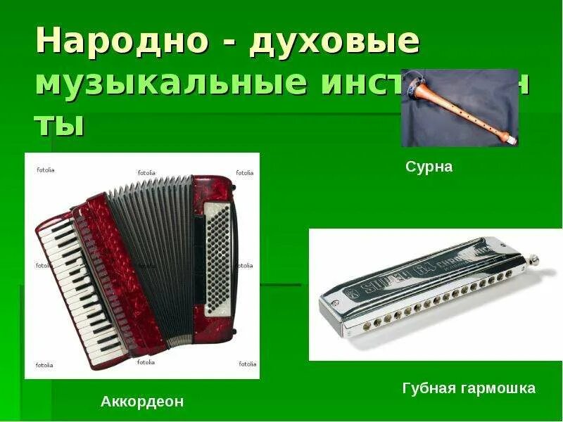 Духовые язычковые музыкальные инструменты. Клавишно духовые народные музыкальные инструменты. Клавишный духовой музыкальный инструмент. Народный клавишный духовой инструмент. Язычковые музыкальные инструменты названия.