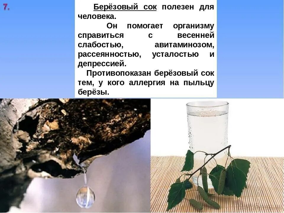 Можно березовый сок при диабете. Берёзовый сок полезен. Чемполнзен березовый сок. Чем полезен березовый сок. Польза березового сока.