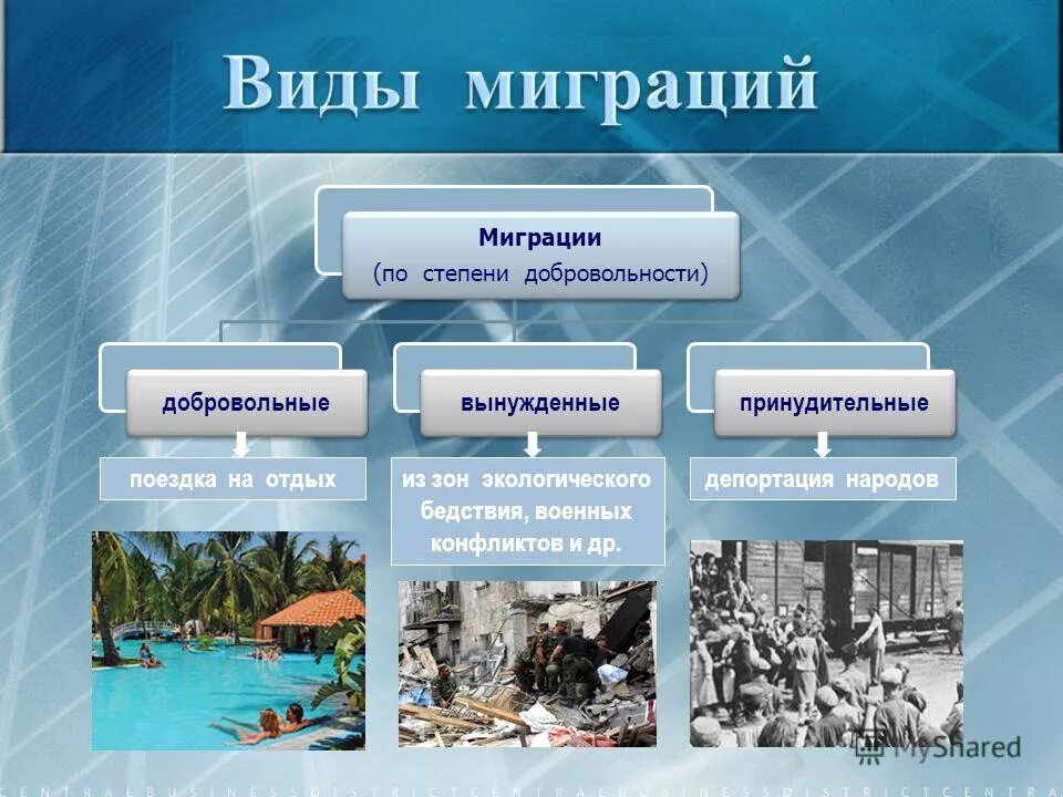 Виды миграции с примерами. 2 виды миграции. 2 виды миграции. Какие виды миграции существуют. Виды миграции населения.