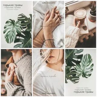 Горькие травы проскурина