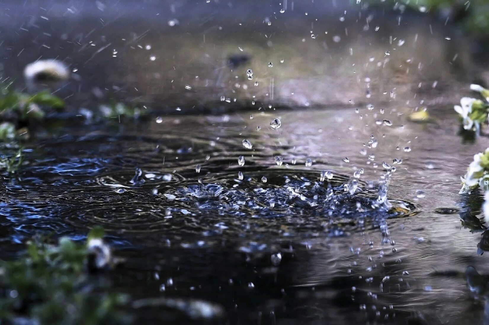 Rain фото. Дождь. Ливень. Природа дождь. Летний ливень.