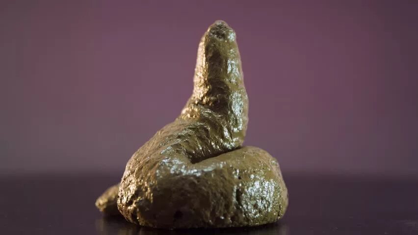 The pieces of shit. The pieces of shit