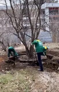 Екатеринбург пересадка