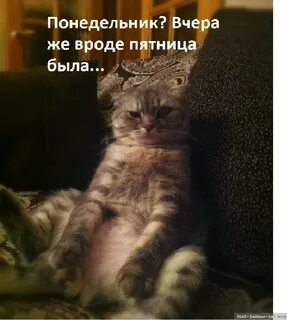 Утро трудного дня