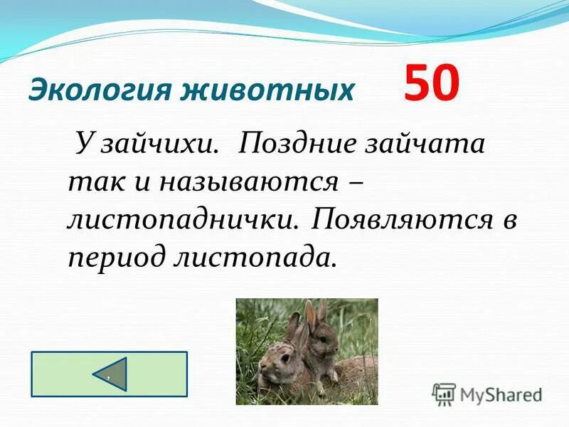Статья о листоппдничеах. Кто такие листопаднички. Энциклопедия о зайцах листопадничках. Осенние зайчата листопаднички информация. Листопадничек энциклопедия.