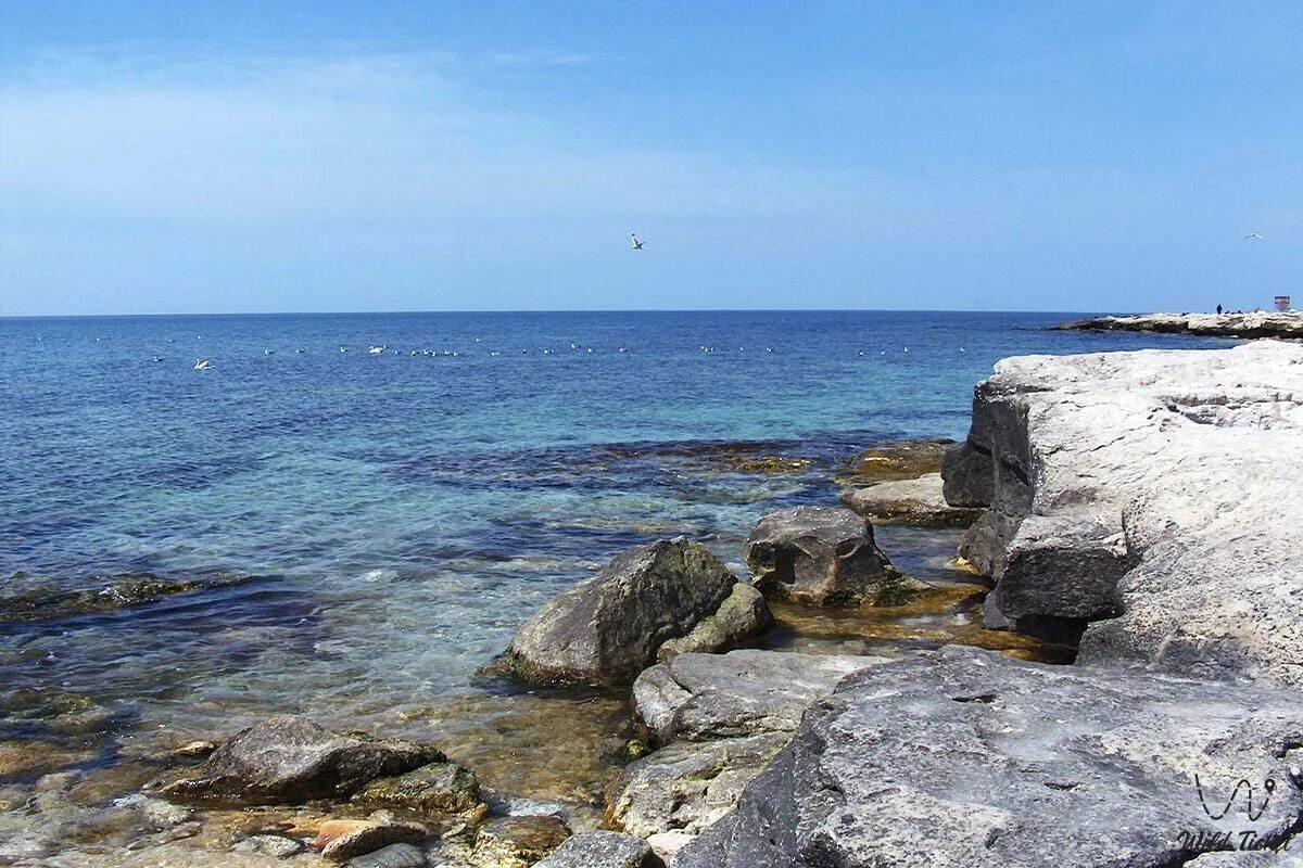 Каспийское море Казахстан. Каспийское море Казахстан Актау. Каспийский берег Казахстана. Курорты Каспийского моря в Казахстане. Каспий сайт казахстан