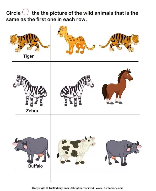 Animals for Kids. Animals Worksheets. Wild animals for Kids. Animals Worksheets for Kids. Wild animals worksheet