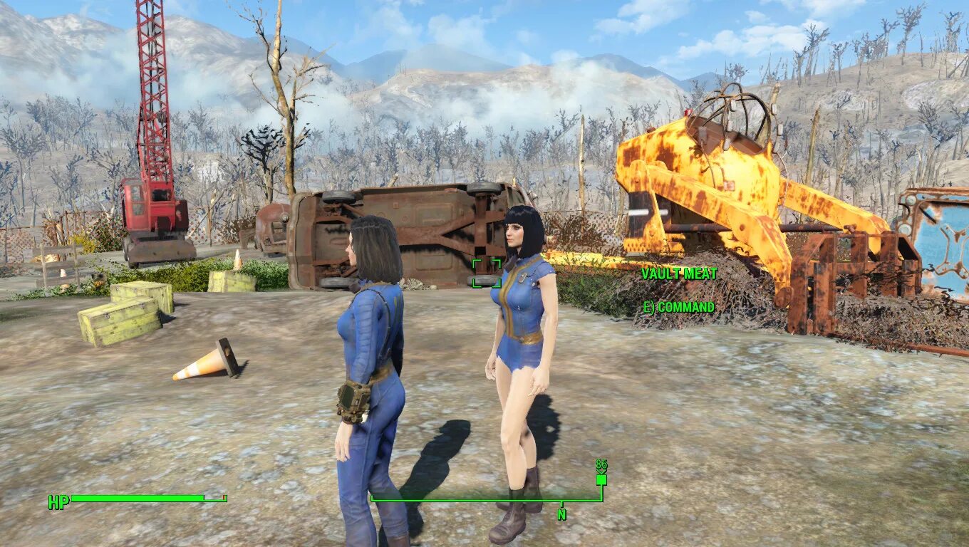 Фоллаут 4 не отображается. Фоллаут 4 моды vault meat. fallout vault meat мод. fallout 4 esp. fallout 4 мод аугментация.