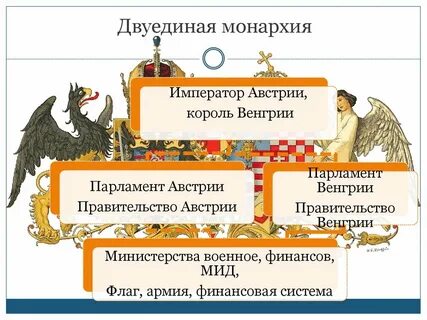 Структура общества в австро венгрии
