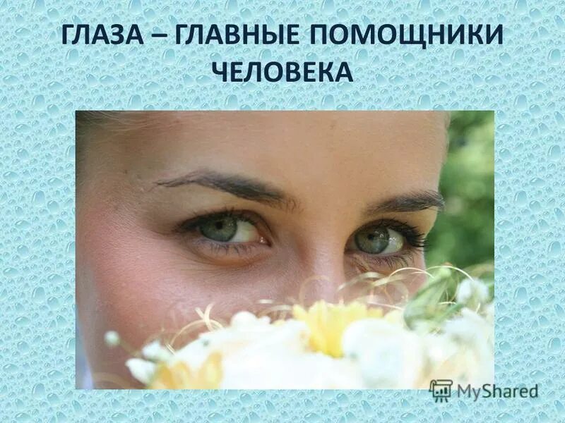 первые помощники человека. собаки в древности. собаки, приручившие человека. электроприборы для детей. помощники человека при счете.