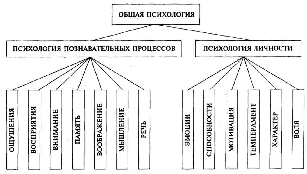 Техника защиты в баскетболе схема. Приемы классического массажа схема. Основные отрасли психологии схема. Основные и вспомогательные приемы массажа. Обучение современной психологии