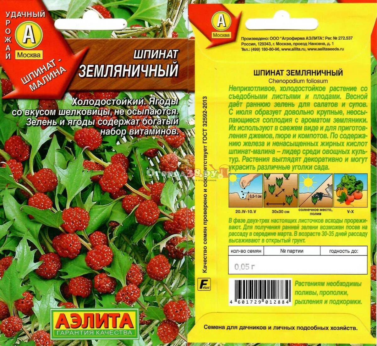 Шпинат земляничный описание и выращивание. Жминда шпинат земляничный. Шпинат земляничный описание и выращивание. Шпинат-малина земляничный. Семена шпинат земляничный.