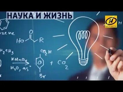 Дзен наука