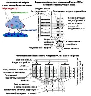 Задачи решаемые нейронными сетями
