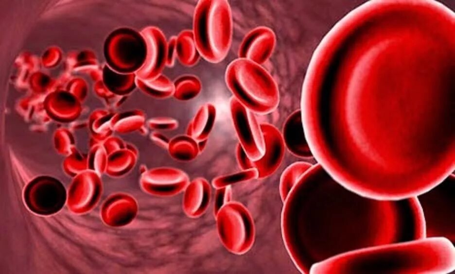 Анемия биохимия. Гемоглобинопатии: талассемия, серповидно-клеточная анемия.. Гемоглобинопатии и талассемии. Анемия злокачественных новообразований.