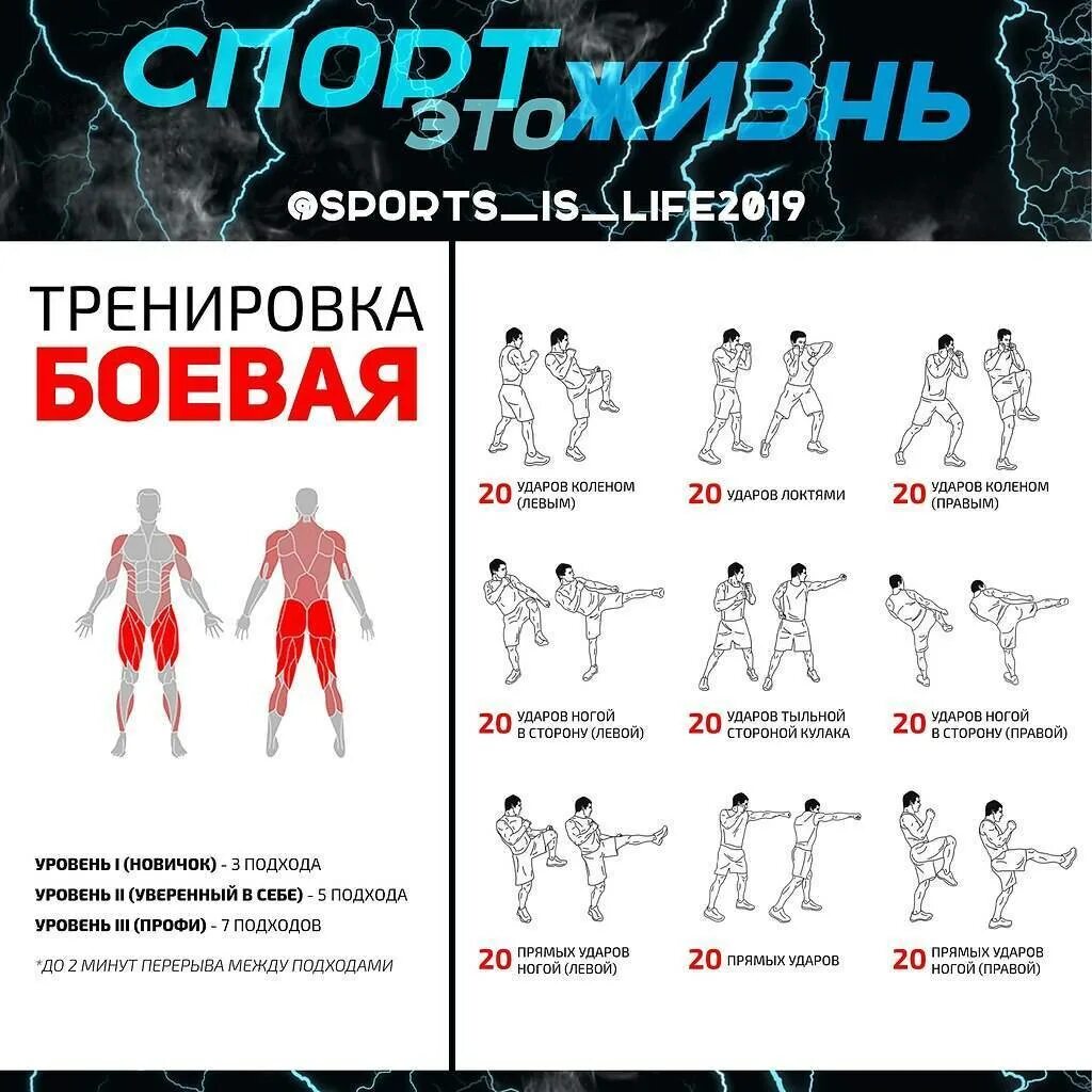 Work out exercises