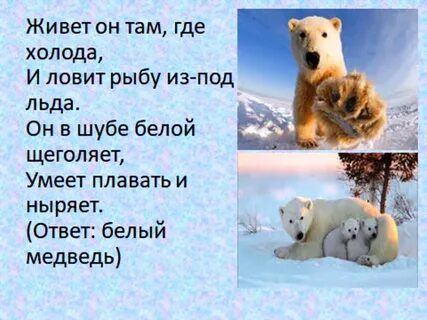 Загадка белая