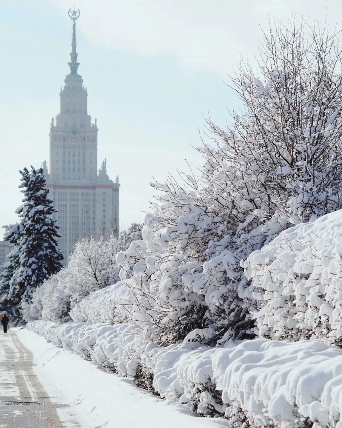 Самые нужные зимой