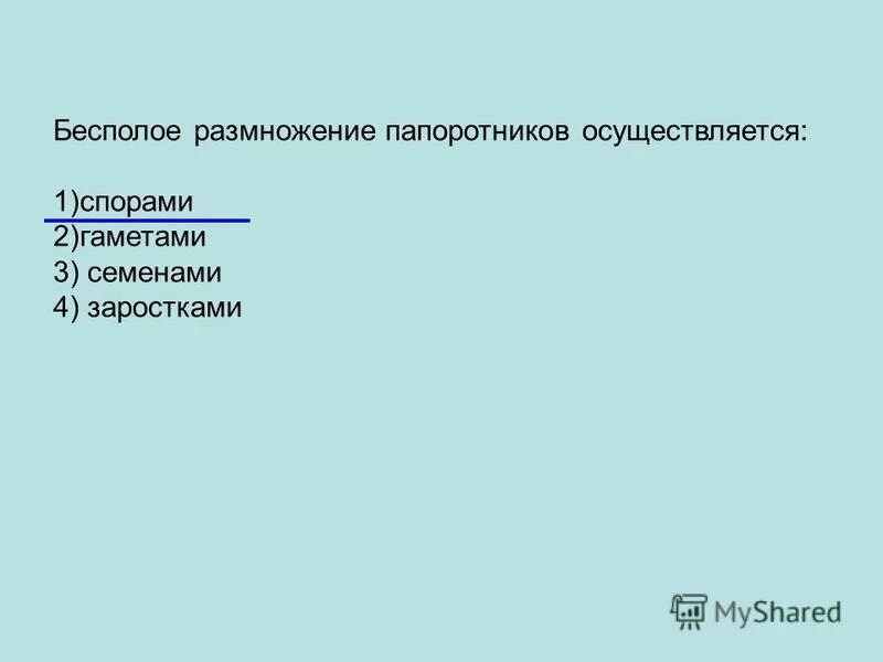 Бесполое размножение папоротников осуществляется. Бесполое размножение папоротников. размножение живых организмов. типы размножения тест.