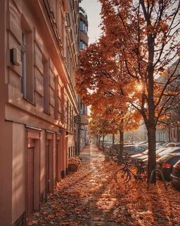 Городские улицы осенью