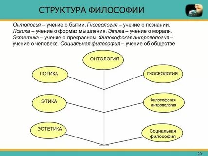 Этика эстетика антропология