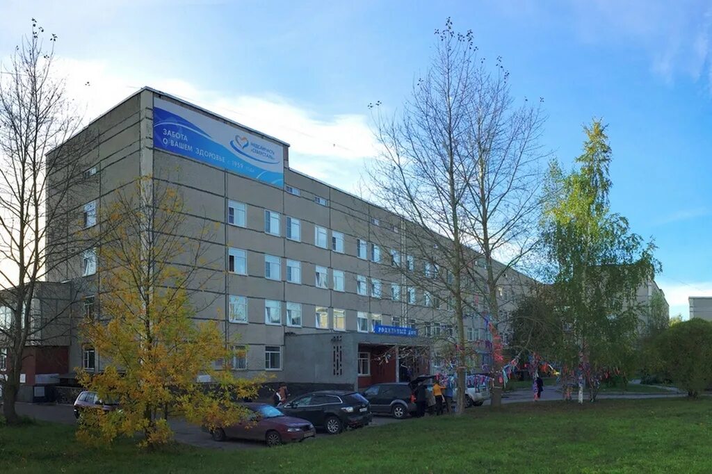 Череповецкий городской родильный дом. Врачи роддома северсталь. Северсталевский роддом череповец палаты. Родильный дом северсталь череповец. Роддом северсталь череповец врачи.