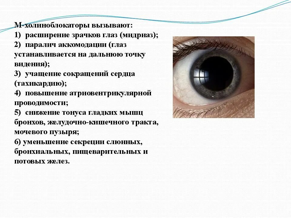 Почему увеличивается глаза. Расширяются зрачки причины. Расширенные зрачки причины.