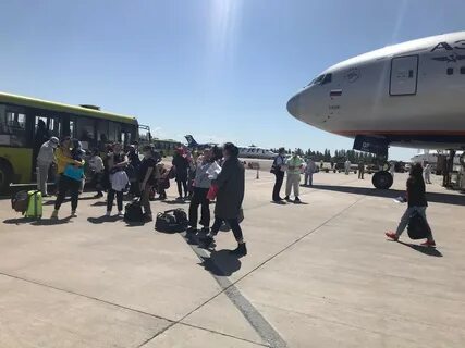 Аэропорт домодедово бишкек