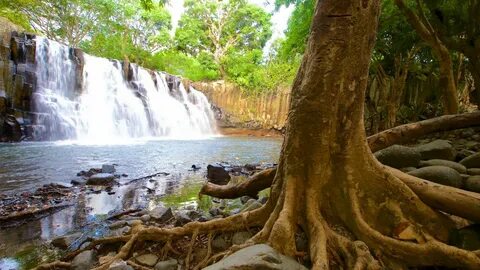 Black river