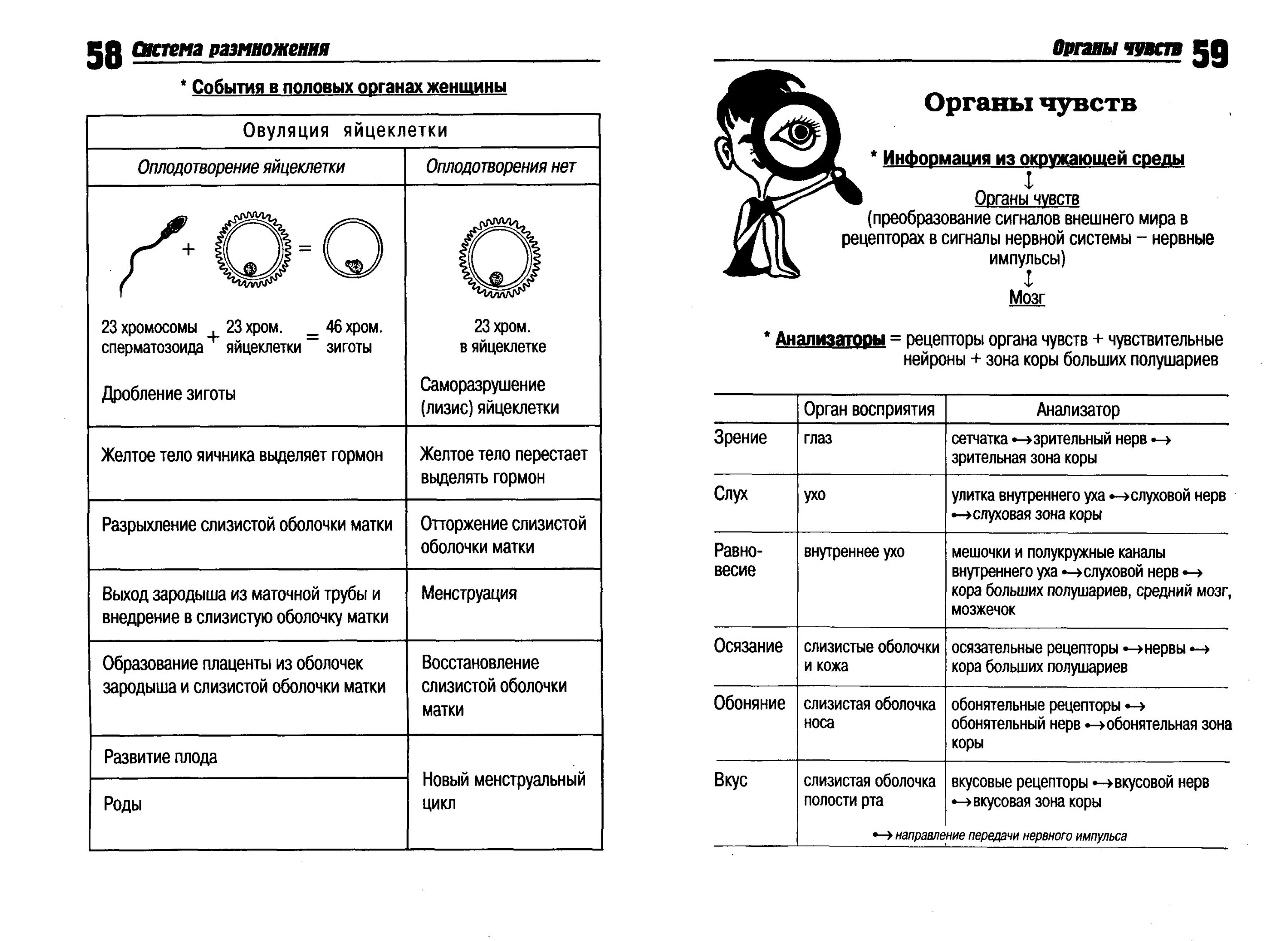 Биология егэ читать. Краткая теория по биологии для ЕГЭ В таблицах и схемах. Таблица биология ЕГЭ. Шпаргалки по биологии ботаника. Таблицы и схемы по биологии для подготовки к ЕГЭ.