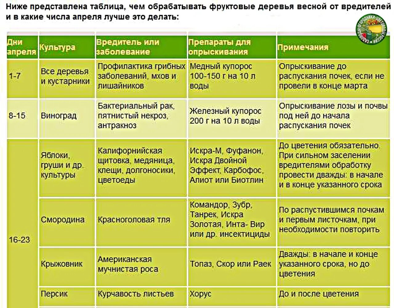 Схема обработки смородины от болезней. Схема опрыскивания сада весной. Баковые смеси для обработки сада весной таблица. Баковая смесь для обработки сада весной от вредителей и болезней.