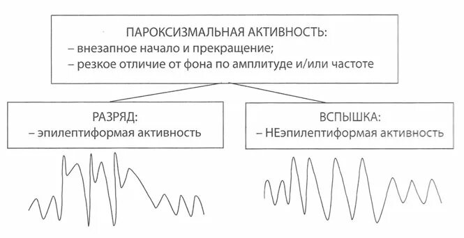 Пароксизмальная активность головного мозга на ЭЭГ. Пароксизмальная активность головного мозга что это такое. Амплитуда пароксизмальной активности:. Пароксизмальная активность головного мозга у детей.