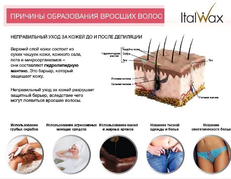 Почему волосы быстро грязнятся. Способы укрепления волос. Почему у человека холодные волосы. Типы кожи головы и волос. Почему волосы жирнеют.