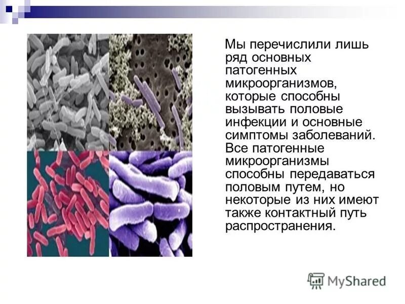 Заболевания передающиеся микроорганизмами