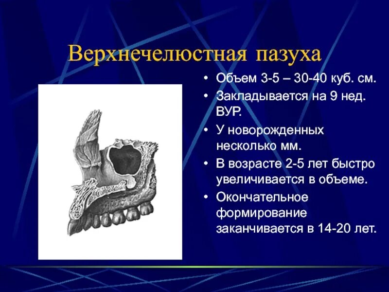 Киста губы код мкб. Киста губы код мкб