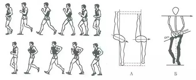 Спортивная ходьба техника. Техника спортивной ходьбы для начинающих пошагово. Опишите комплекс упражнений «спортивная ходьба».. Спортивная ходьба схема. Техники ходьбы и бега