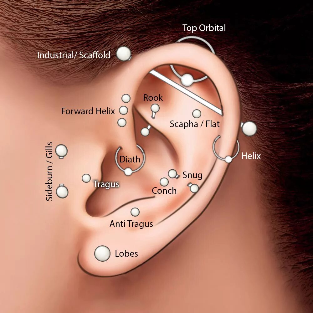 Сколько проколов в ушах можно. Разновидности проколов ушей. Пирсинг ушей и их название.