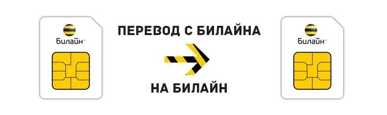 Как можно перевести билайна билайн. Перевести деньги с Билайна. Перевести с Билайна на Билайн. Перекинуть деньги с Билайна на Билайн. Перевести деньги с Билайна на Билайн с телефона на телефон.