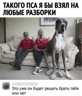 В нем живут самые разные